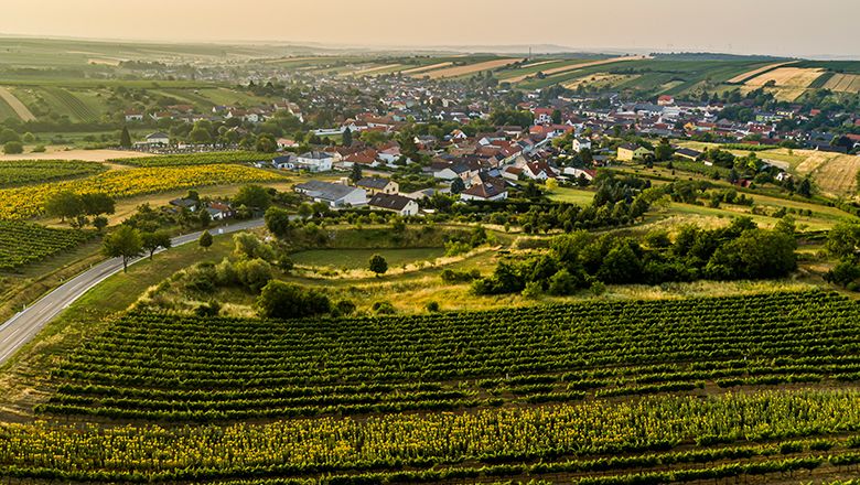 Letecký pohled na Herrnbaumgarten s vinicemi v popředí.