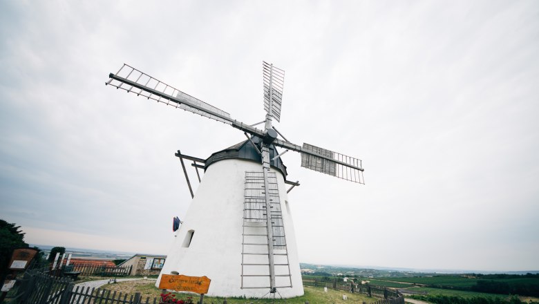 Euro Velo 13 Windmühle Retz WTG Gollner 2, © Weinviertel Tourismus / Gollner