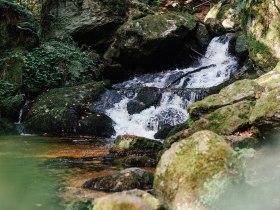 Wandern, Yspertal, Ysperklamm, Druidenweg, südliches Waldviertel, © Niederösterreich Werbung/Melanie Kerzendorfer