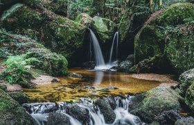 Hučící vody soutěsky Ysperklamm., © Niederösterreich Werbung/ Julia Sallaberger