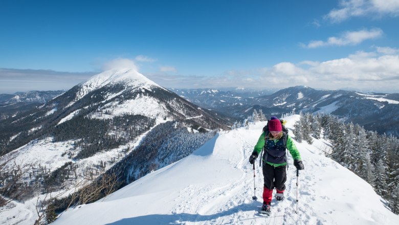 Turistika na sněžnicích v Mostviertelu, © jürgenthoma.com