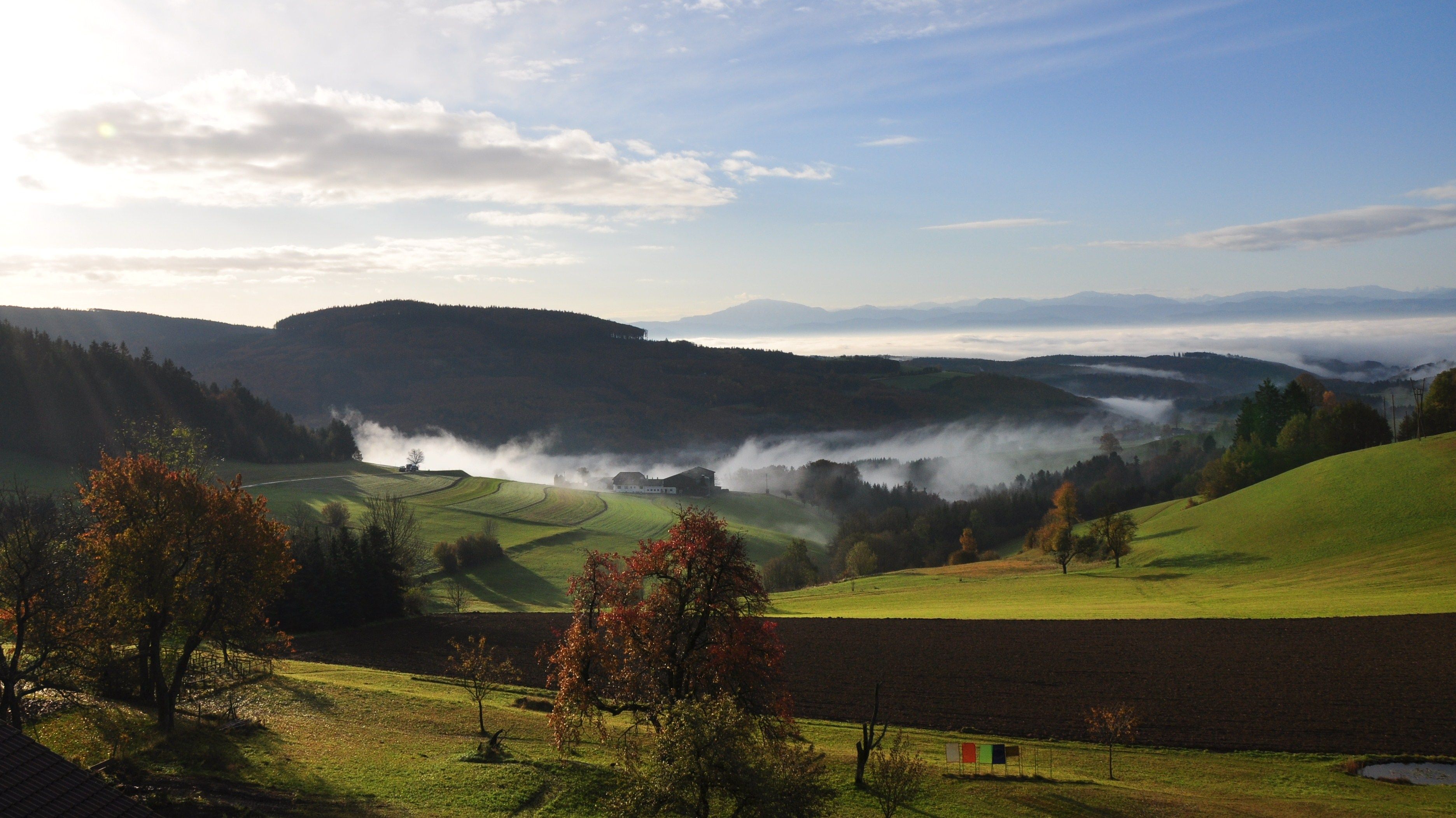 Krajina v jižním Waldviertelu s kopci, stromy a mlhou.