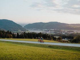 Radfahren mit Blick auf Grein, &copy; WGD Donau Ober&ouml;sterreich Tourismus GmbH
