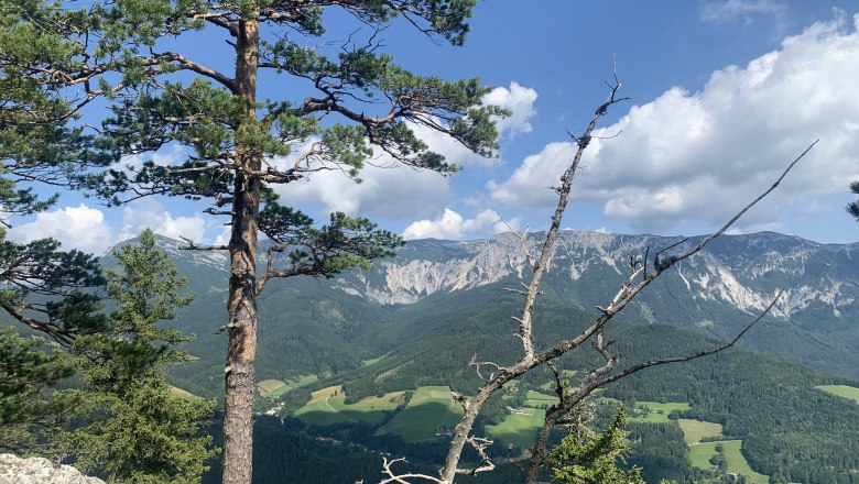 Viewpoint Luckerte Wand, &copy; TVB Semmering-Rax-Schneeberg