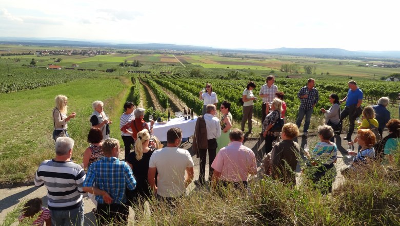Tasting in the vineyard, © Öhlzelt