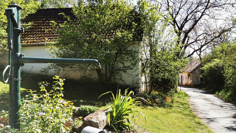 Wine cellar lane Zeiselberg in Immendorf, © Weinstraße Weinviertel