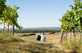 Viticulture Julian Winter, © Julian Winter