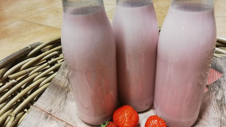 Mizie Hof Prellenkirchen, Brand family, strawberry milk, © Mizie Hof Fam. Brandl Gerhard