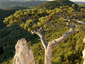 Erlebnisweg Peilstein, &copy; Wienerwald