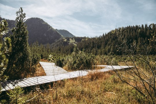 Na cestách v přírodní rezervaci Leckermoos, © Max Mauthner