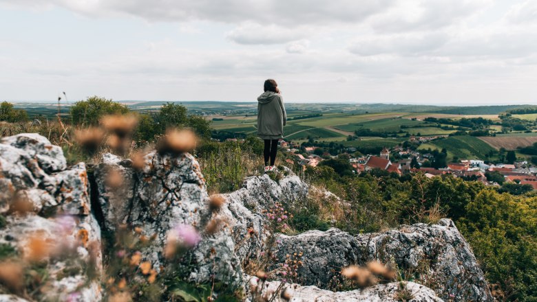 Tisíc let na trhu a na hradě před zraky jestřába., © Niederösterreich Werbung/Romeo Felsenreich