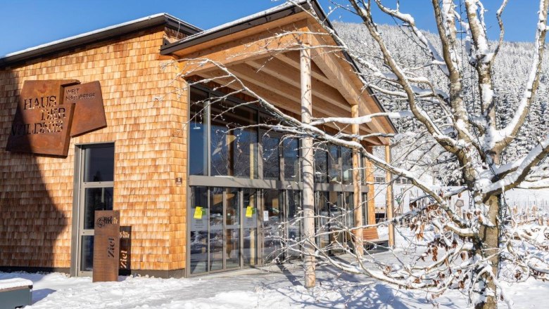 M&iacute;sto setk&aacute;n&iacute; v divočině v Domě divočiny, &copy; Theo Kust