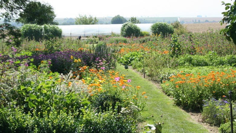 Vielfalt im Kräutergarten, © fairwurzelt