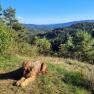 From short tours to long-distance hikes - everything in the area!, © U.E.