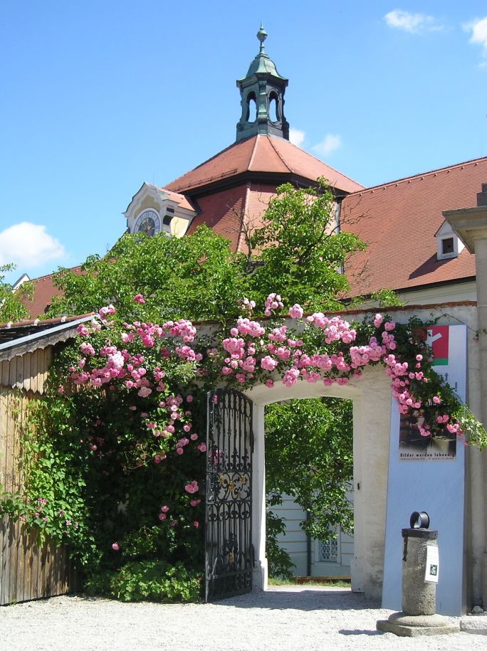 Via_Rosa_Thmenweg (3)