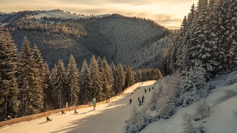 Natural toboggan run on the Semmering, © Semmering Hirschenkogel Bergbahnen GmbH