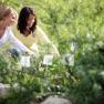 Herbal adventure garden, © weinfranz.at