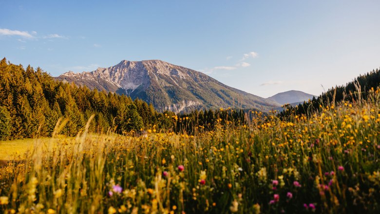 Nestelberg 17 (c)Marlene Schindlegger (49), &copy; Sabine Wieser
