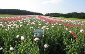 Sallingberg, &copy; &copy; Gemeinde Sallingberg