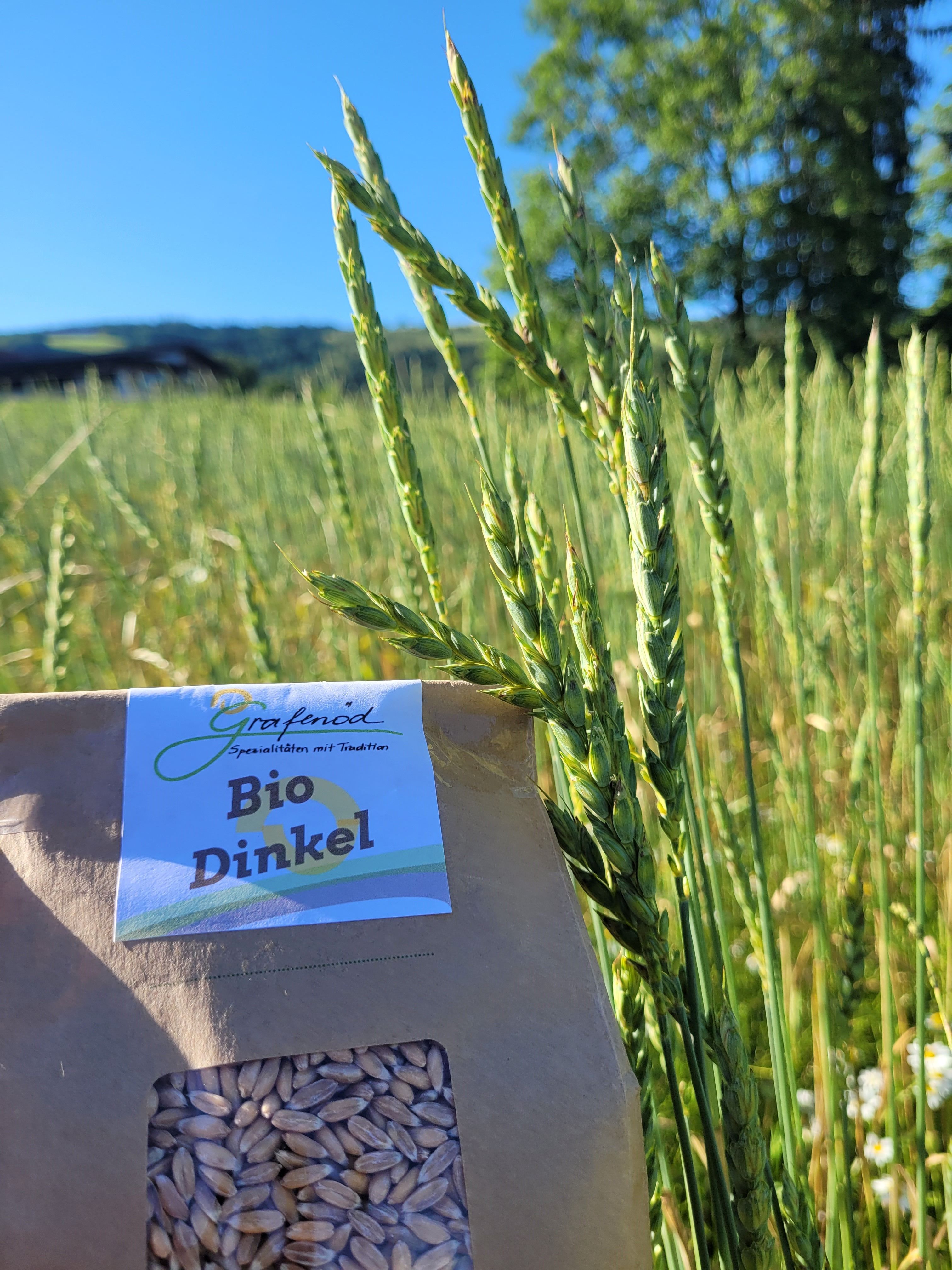 Ekologická farma Grafenöd