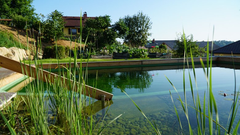 Swimming pond, © Karin Ruthner