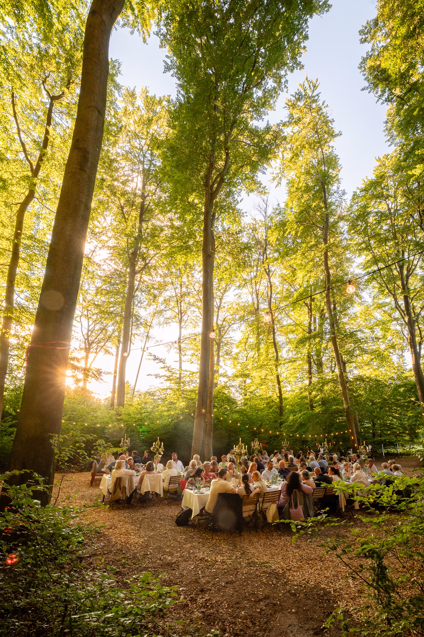 Ilustrační obrázek