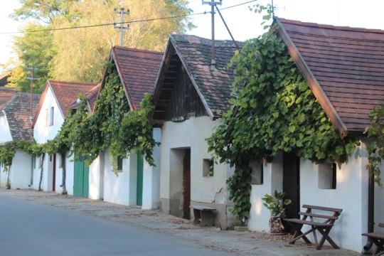 nejdelší sklepní ulička Weinviertelu je dlouhá 1,6 km a zahrnuje 400 lisoven a sklepů., © Weinviertel Tourismus/Krönigsberger