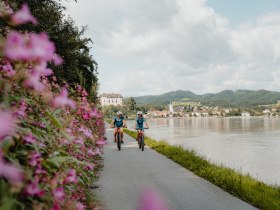 Radfahren in Grein, &copy; WGD Donau Ober&ouml;sterreich Tourismus GmbH