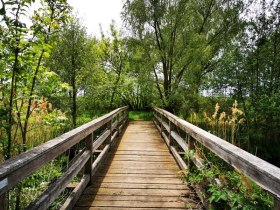 Das Naherholungsgebiet bei Roseldorf l&auml;dt zum Chillen ein, &copy; Weinstra&szlig;e Weinviertel West
