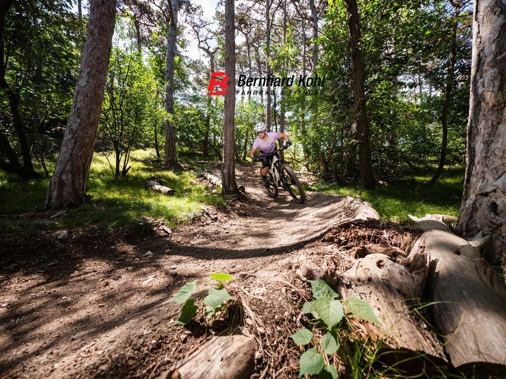 MTB oblast Anninger