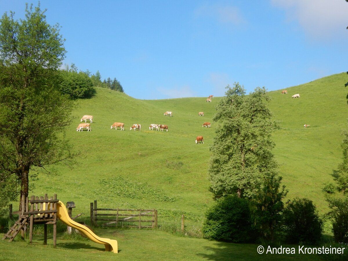 Dovolená na farmě-Oberrehau