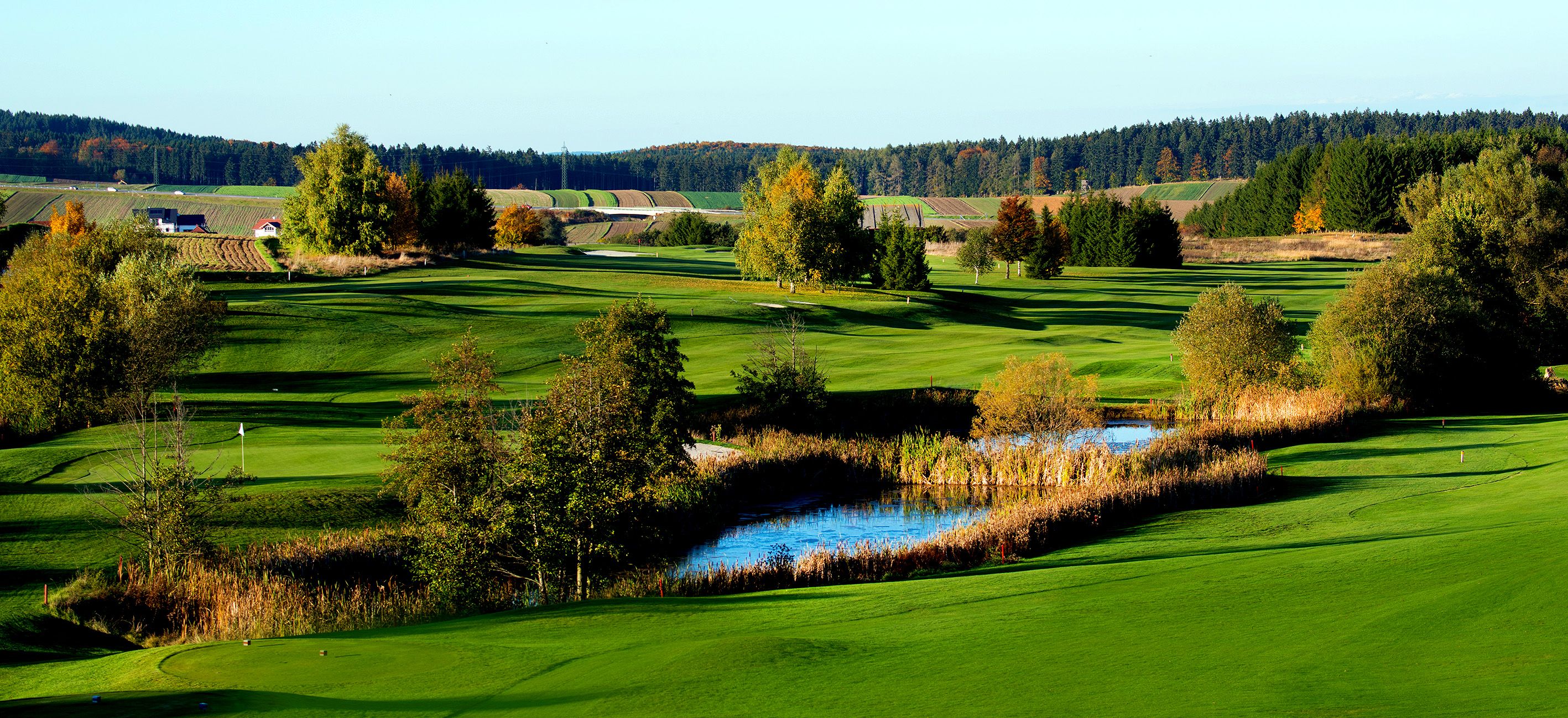 Zelená krajina golfového hřiště s rybníkem a stromy na podzim.