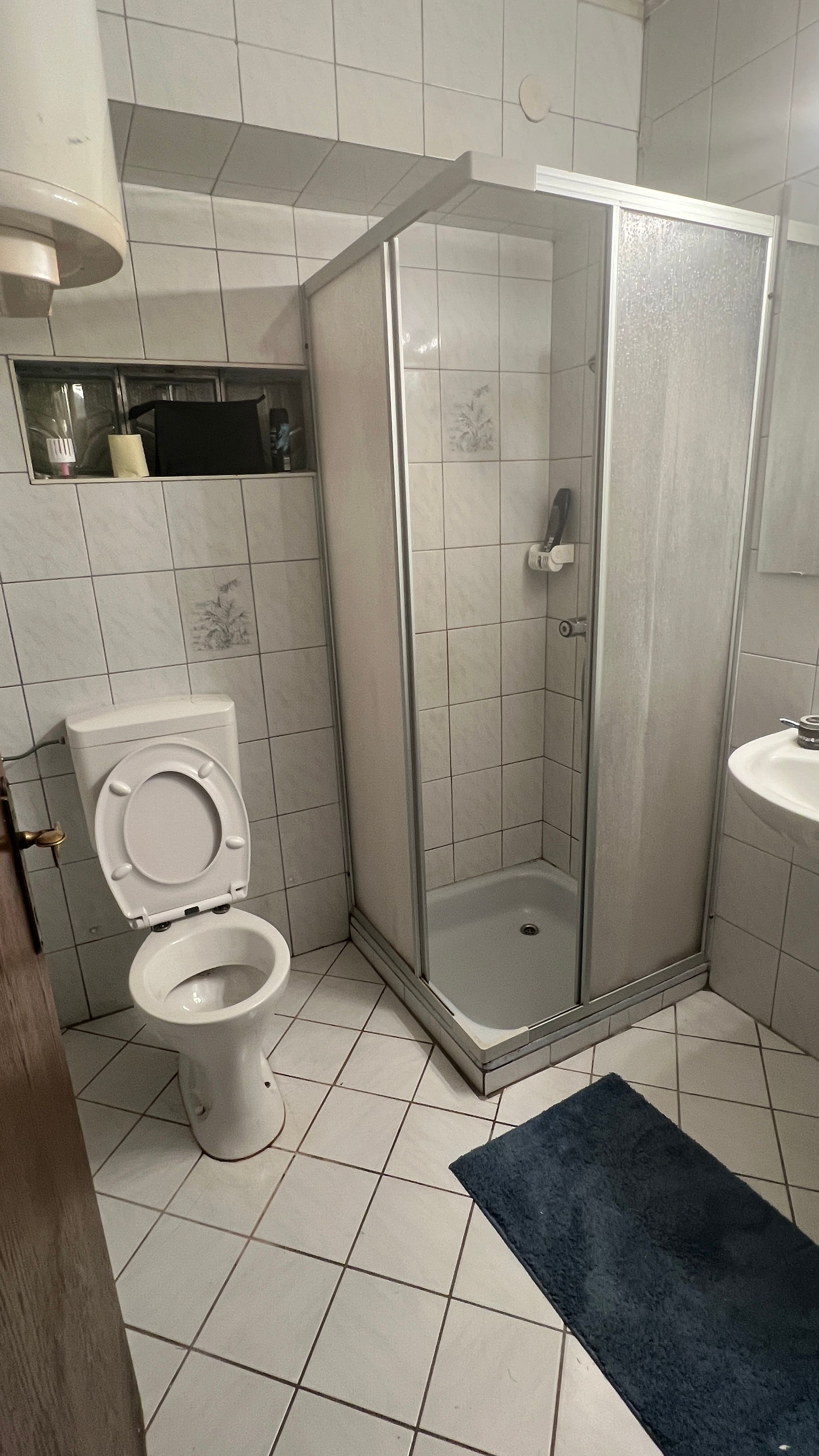 Koupelna se sprchou, toaletou a umyvadlem.