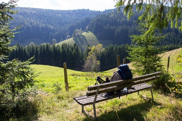 Alpl - Roseggerův lesní dům