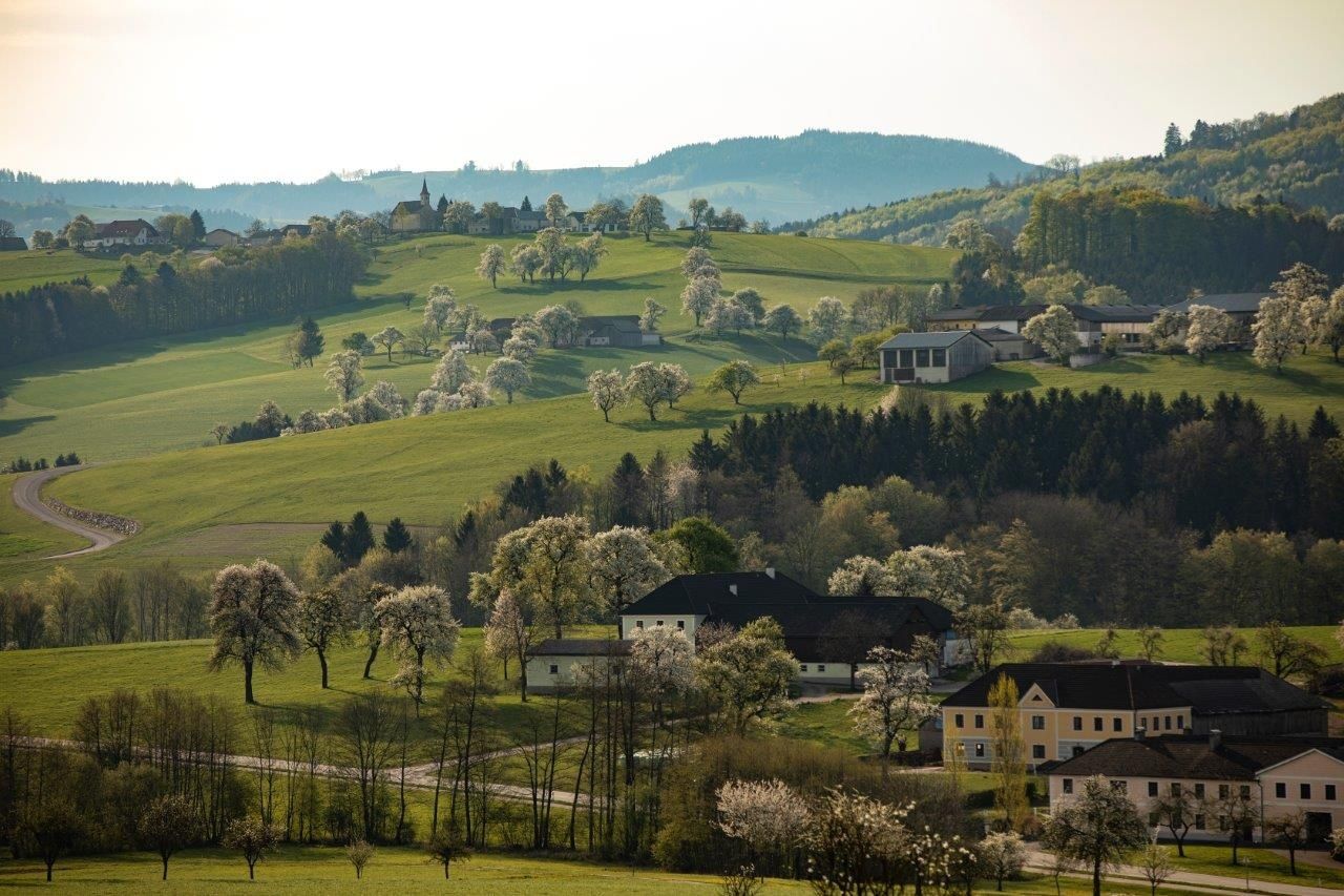 Foto bod Zeilinger