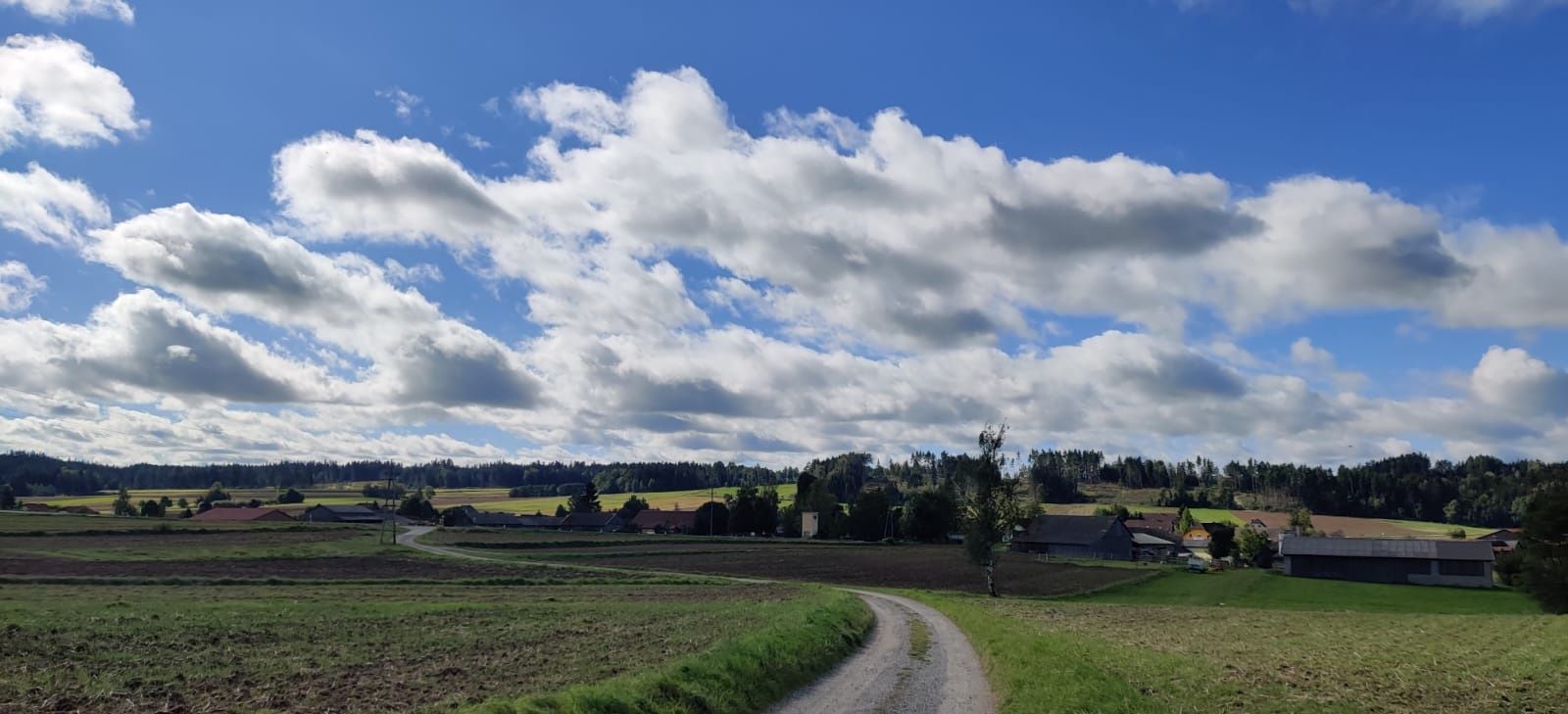 Aubergova ulice