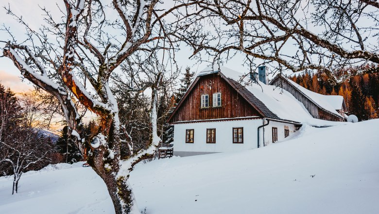 Nestelberg 17 (c)Marlene Schindlegger (36), © Sabine Wieser