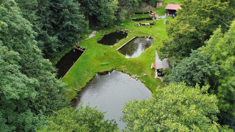 Kornfeld fishing and angling ponds, © Herbert Kornfeld