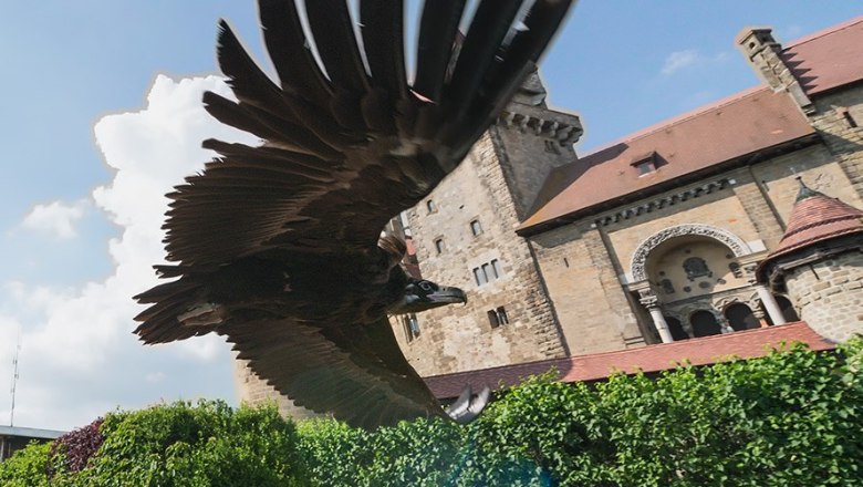 Flugvorführung, © topshot.co.at