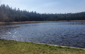 Gemeindeteich, &copy; Wolfgang Lechner