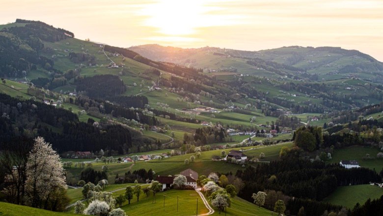 Photo point St. Peter in der Au, © schwarz-koenig.at