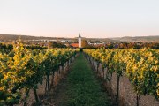 Langenlois, největší vinařské město v Rakousku, © Romeo Felsenreich