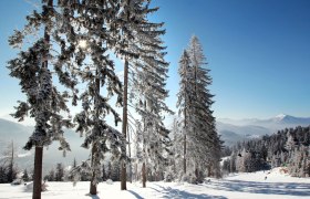 Kouzelná zimní krajina Annabergu, © weinfranz.at