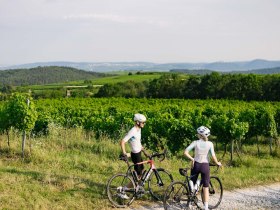 V&yacute;hled na Kremstal v Priel, &copy; Donau N&Ouml;/Mara Hohla