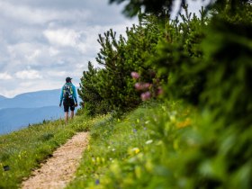 Wandererlebnis auf der Rax Wiener Alpen in Niederösterreich, Region: Semmering und Rax, © Martin Matula