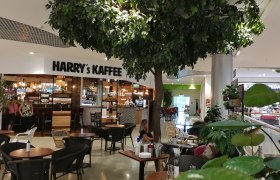 Harry's Kaffee, © Roman Zöchlinger