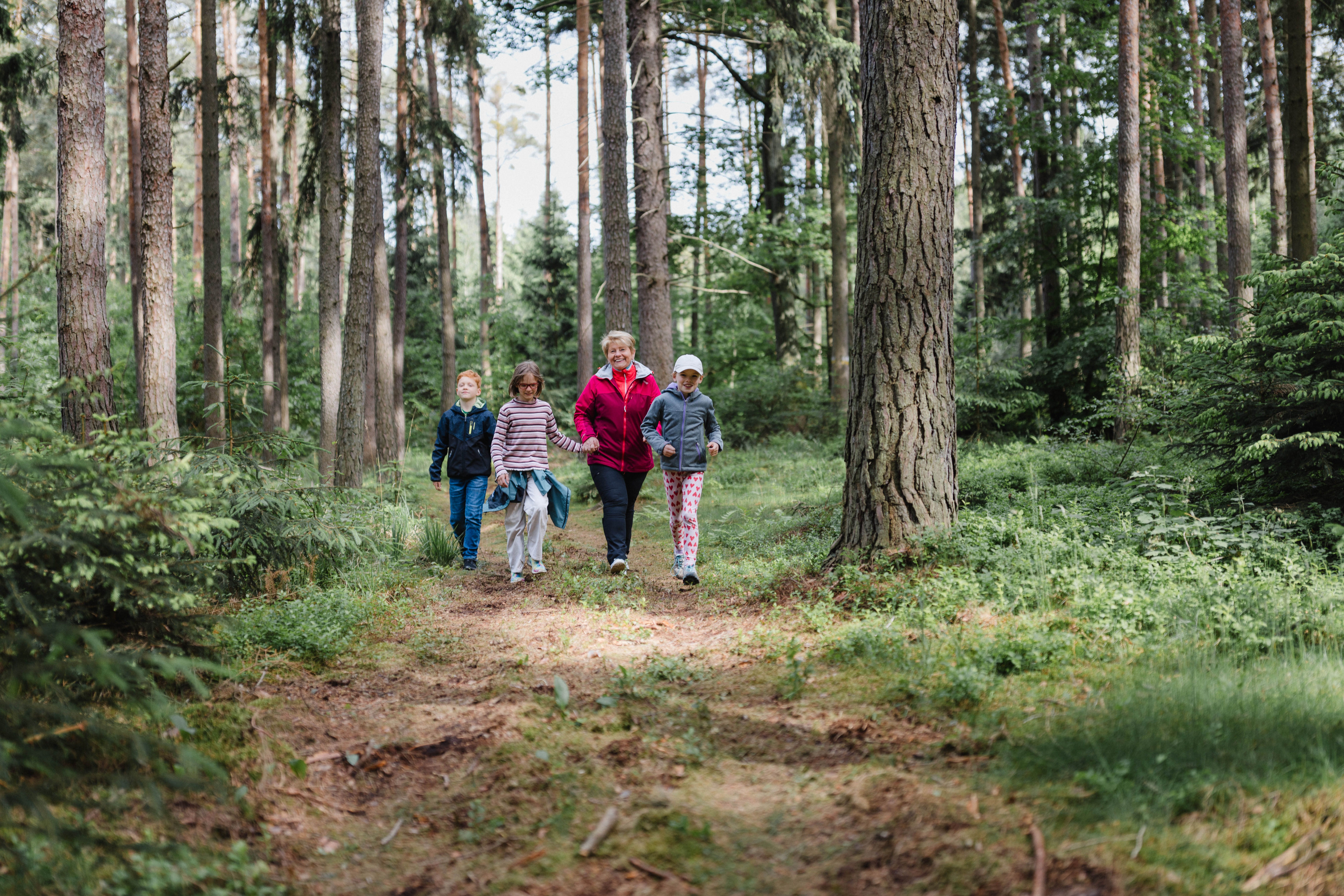 Skupina lidí jde po lesní cestě v léčivém lese Göttweig.