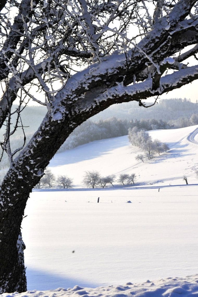 Zimní výhledy na Jauerling., © Naturparke Niederösterreich/Robert Herbst