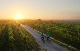 Radfahren im Weinland Traisental, © schwarz-koenig.at