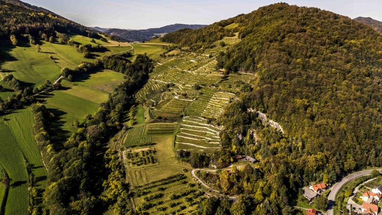 Ried Trenning kleiner_c_Robert Herbst-0574, &copy; Robert Herbst